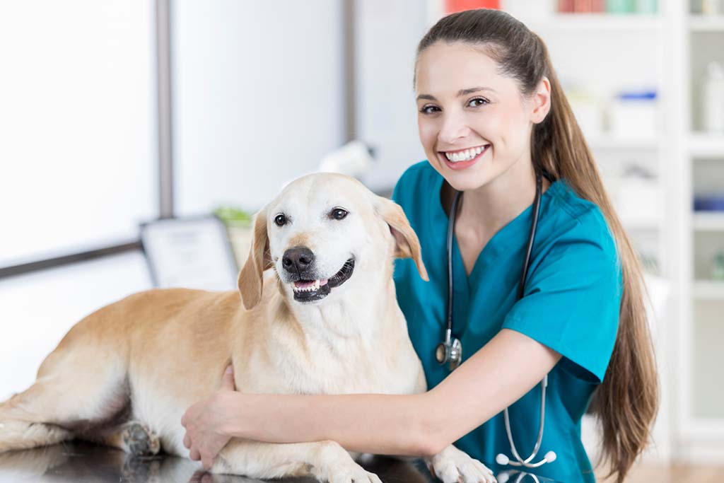 young veterinary tech with dog