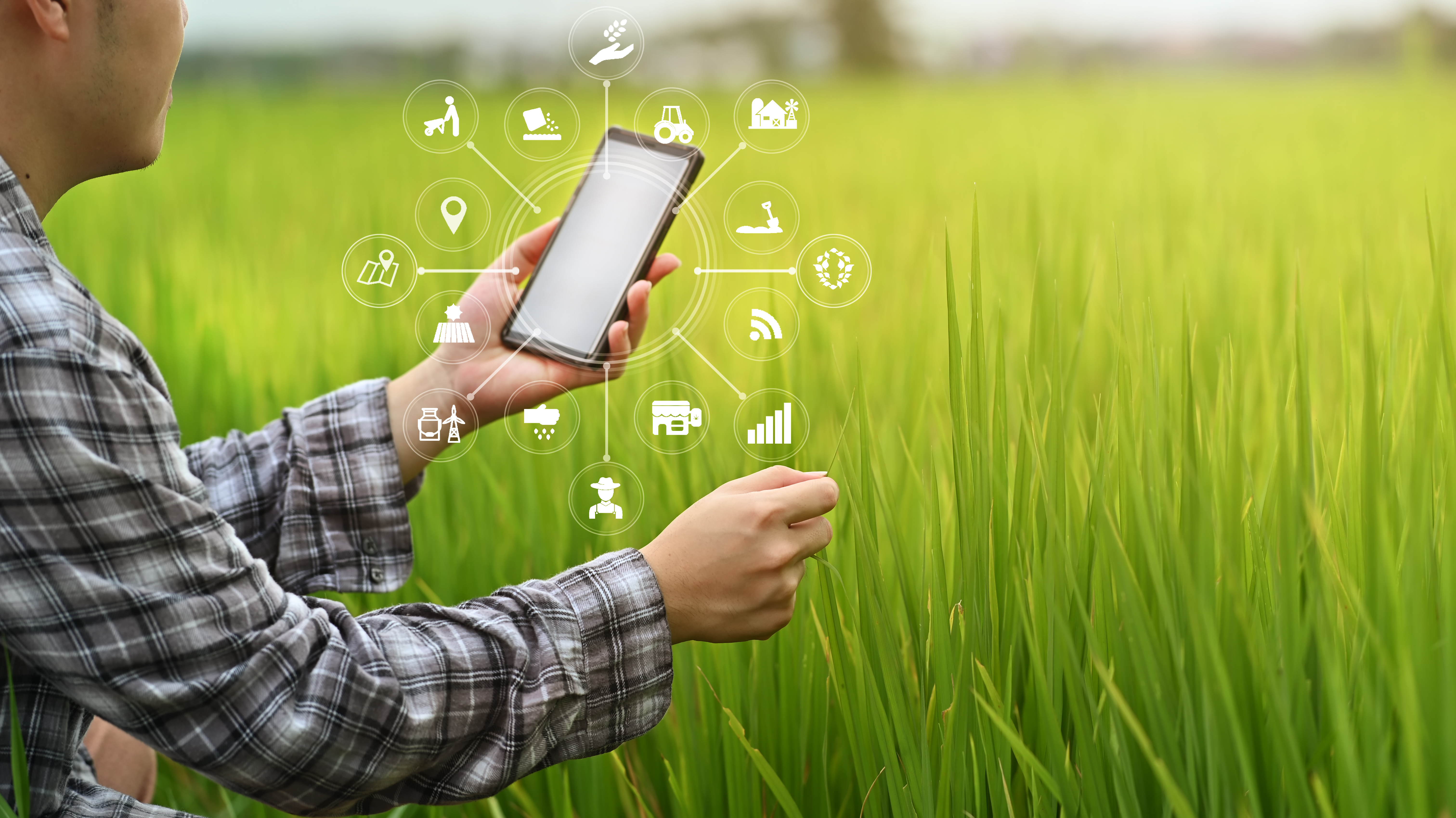 illustration of mobile data