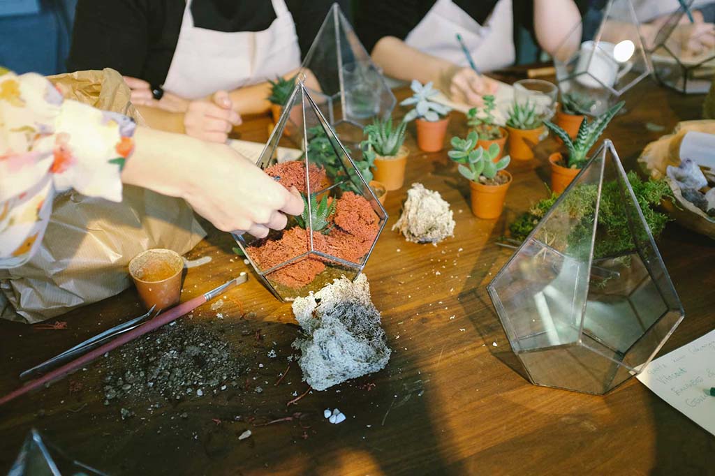 people putting plants in containers